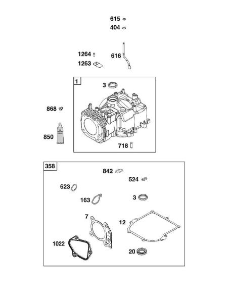 B&S - serijska številka  od 09  09P602-0124-H1 G - SKLOP CILINDRA della Marca Stihl