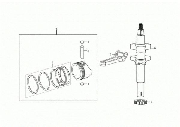 Ciguenal y piston NTR 340 K (K655 HF) Minitransportador