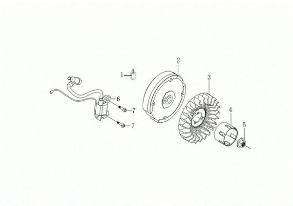 Volante y bobina digital MOTORE K800 H (EURO 5) Motor K800H(EURO 5)